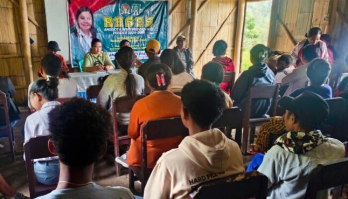 Anggota DPRD NTT, Merci Piwung Terima Keluhan Masyarakat Soal Listrik