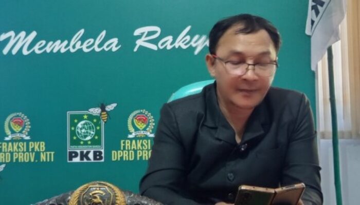 Fraksi PKB Dukung Target PAD NTT Rp2,8 Triliun: Terobosan Brilian dan Jujur Melki-Johni