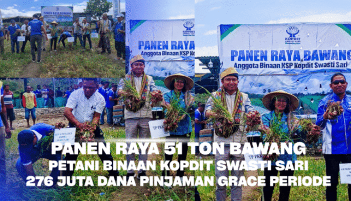 Panen Raya Bawang Petani Binaan Swasti Sari Bukti Nyata Skema Pinjaman Grace Periode Berhasil