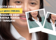 Anggota DPRD NTT, Angela Merci Piwung Soroti Kelangkaan BBM di Flores dan Minyak Tanah di Kupang