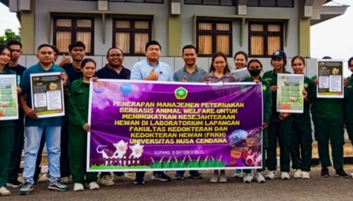 FKKH Undana Latih Mahasiswa Ciptakan Silase Berkualitas, Jawab Tantangan Pakan Musim Kemarau