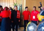 Sekjen PDI Perjuangan Hasto Kristiyanto Hadiri Konferda dan Konfercab di NTT, Disambut Tarian Kataga