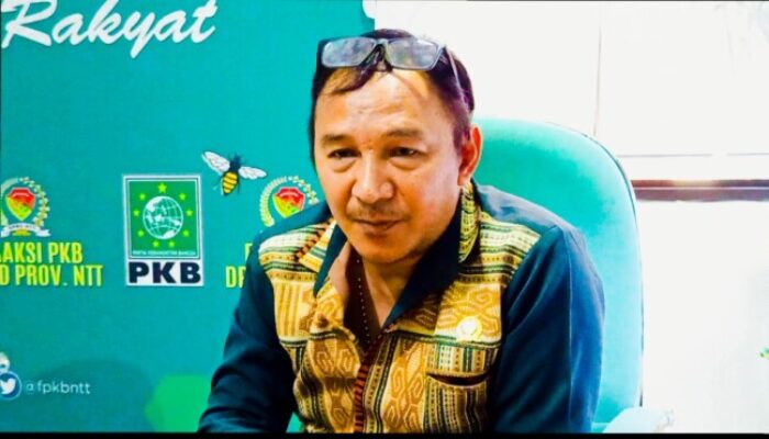 Cely Ngganggus Kecam Dugaan Tambang Ilegal di Pulau Sebayur Labuan Bajo: “Ini Persoalan Serius, APH Harus Turun!”