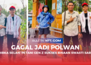 Ribka Selan : Gagal Test Polwan, Bangkit Menjadi Petani Gen Z Sukses, Binaan Kopdit Swasti Sari