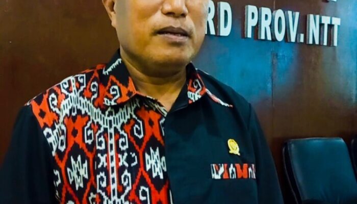 Wakil Ketua Komisi V DPRD NTT, Agus Nahak Dorong RSJ Naimata Bertransformasi Jadi Rumah Sakit Umum