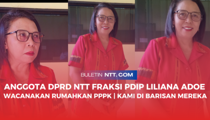 Anggota DPRD NTT Lili Adoe | Wacana Rumahkan 9.000 PPPK, Kami Berada Dibarisan Mereka
