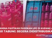 Pertamina Pastikan Pasokan LPG di Kupang Aman, 1.381 Tabung Segera Didistribusikan