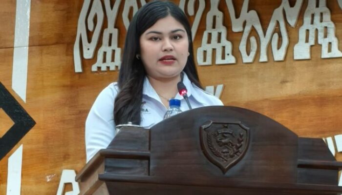 Demokrat Dukung Bank NTT Jadi Perseroda, Tapi Soroti Ancaman Dilusi dan Kaburnya “Mitra Strategis”