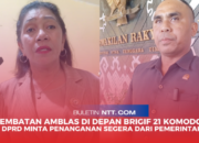 Jembatan Amblas di Depan Brigif 21 Komodo | DPRD NTT  Minta Penanganan Segera Jalur Vital