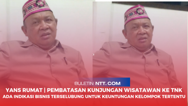 Hans Rumat | Pembatasan Kunjungan Wisatawan Ke Taman Nasional Komodo Ada Indikasi Bisnis Terselubung
