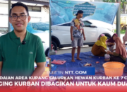 Pegadaian Area Kupang Salurkan Hewan Kurban ke 7 Cabang, Daging Kurban Dibagikan untuk Kaum Duafa