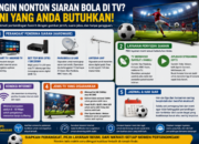 Ingin Nonton Siaran Bola di TV? Ini Perangkat dan TV yang Dibutuhkan