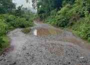 Opini : Empat Kilometer yang Terlupakan: Ketika Jalan Rusak Menguji Kesabaran Masyarakat Jopu – Wolowaru, Kabupaten Ende