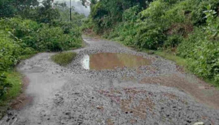 Opini : Empat Kilometer yang Terlupakan: Ketika Jalan Rusak Menguji Kesabaran Masyarakat Jopu – Wolowaru, Kabupaten Ende
