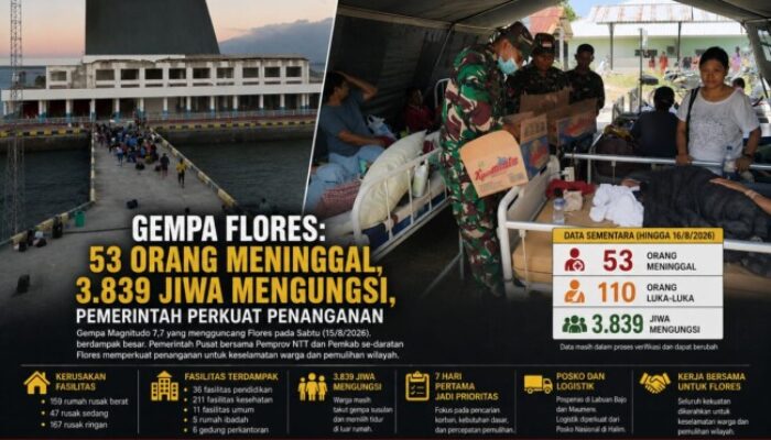 Gempa Flores: 53 Orang Meninggal, 3.839 Jiwa Mengungsi, Pemerintah Perkuat Penanganan