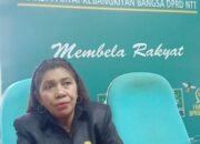 An Kolin Soroti Sekolah Rakyat dan Sekolah Garuda: Minta Pilot Project, Jangan Tumpang Tindih