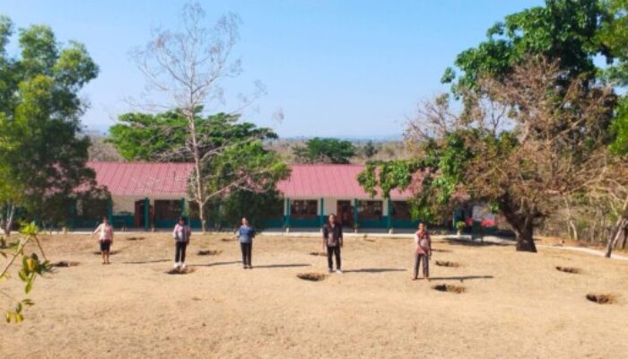 SMA Negeri 3 Atambua Siapkan Budidaya Anggur, Target Tambah PAD dan Ajarkan Siswa Berwirausaha