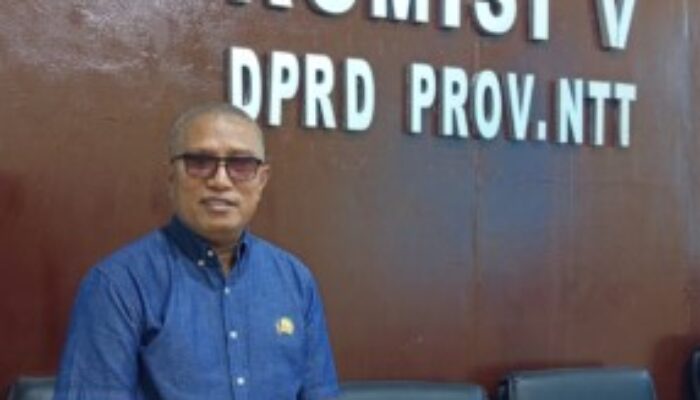 Agus Nahak Perjuangkan Listrik Desa, 803 KK di 19 Desa Malaka Masuk Proses Validasi BPBL
